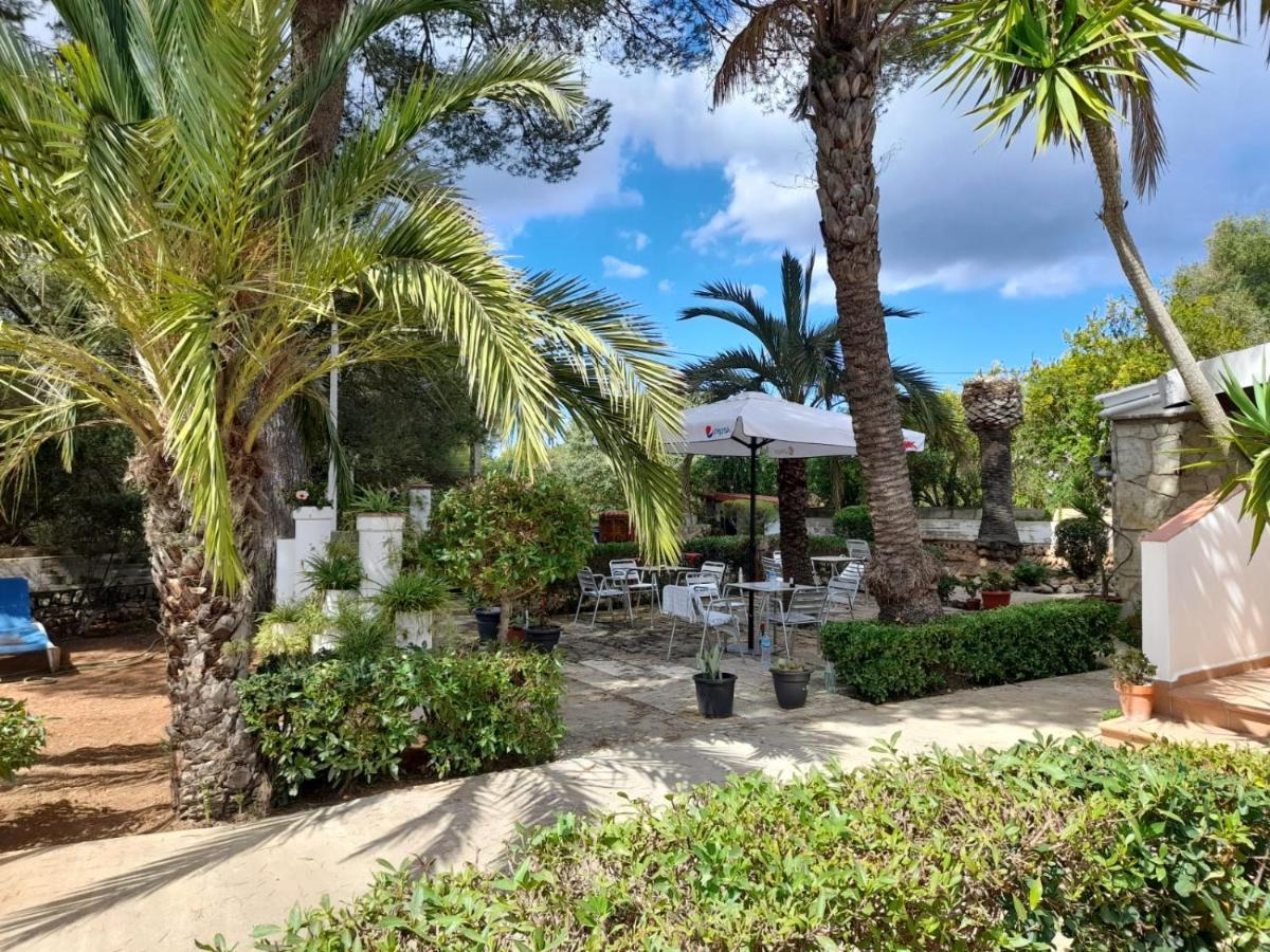 Hostal Residencia Alma بورت ذالكوذيا المظهر الخارجي الصورة